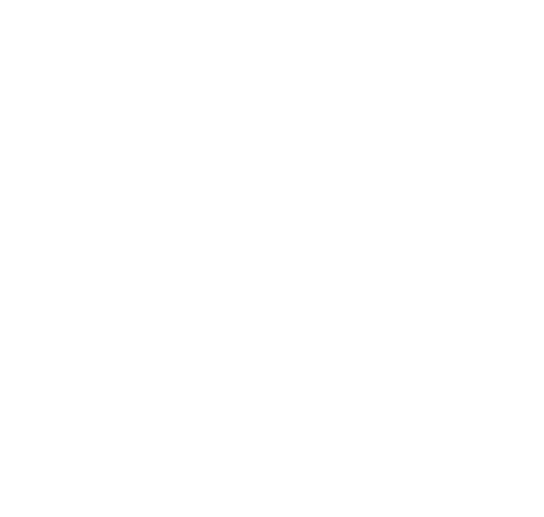 itc leiden logo